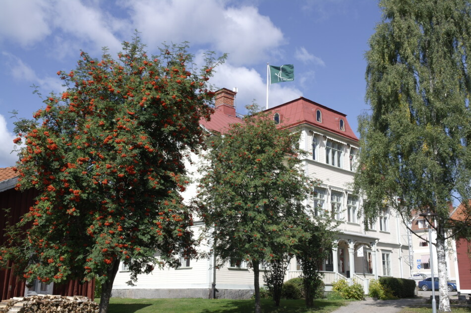 Areal i Ljusdal söker mäklare