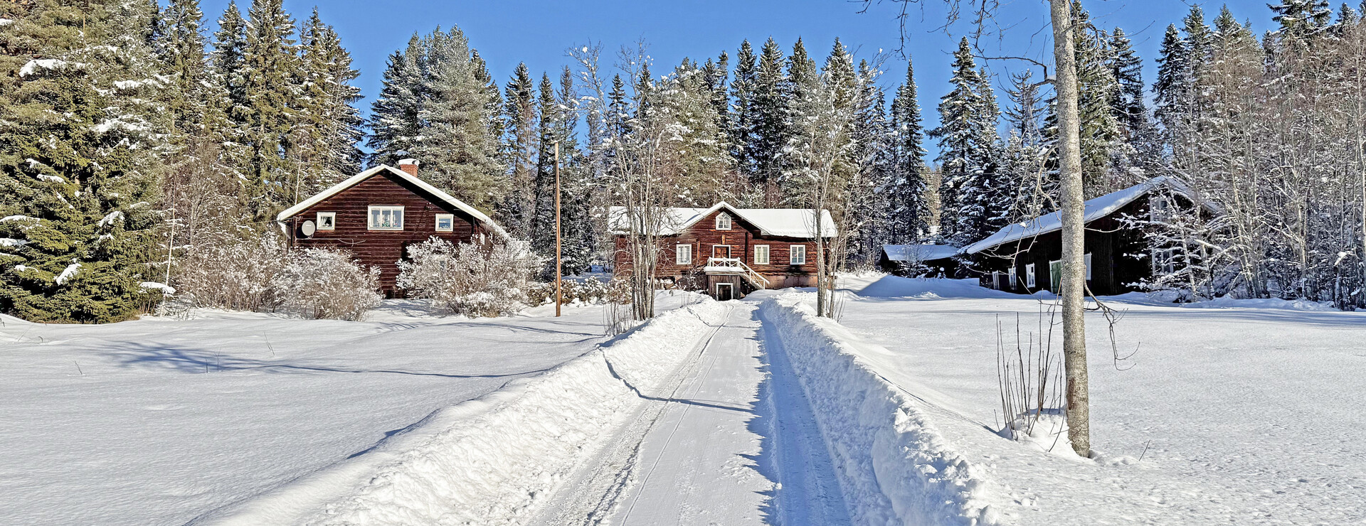 Bispgården - Virkesrik mindre gård