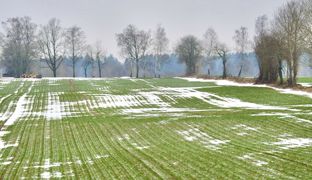 Stora Kråkhult - Stora Kråkhult