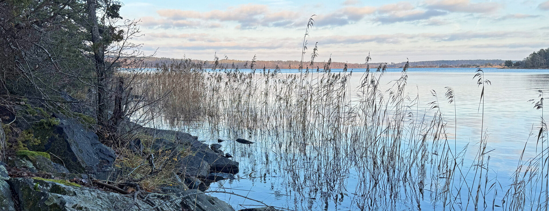 Almvik - Havsnära gård