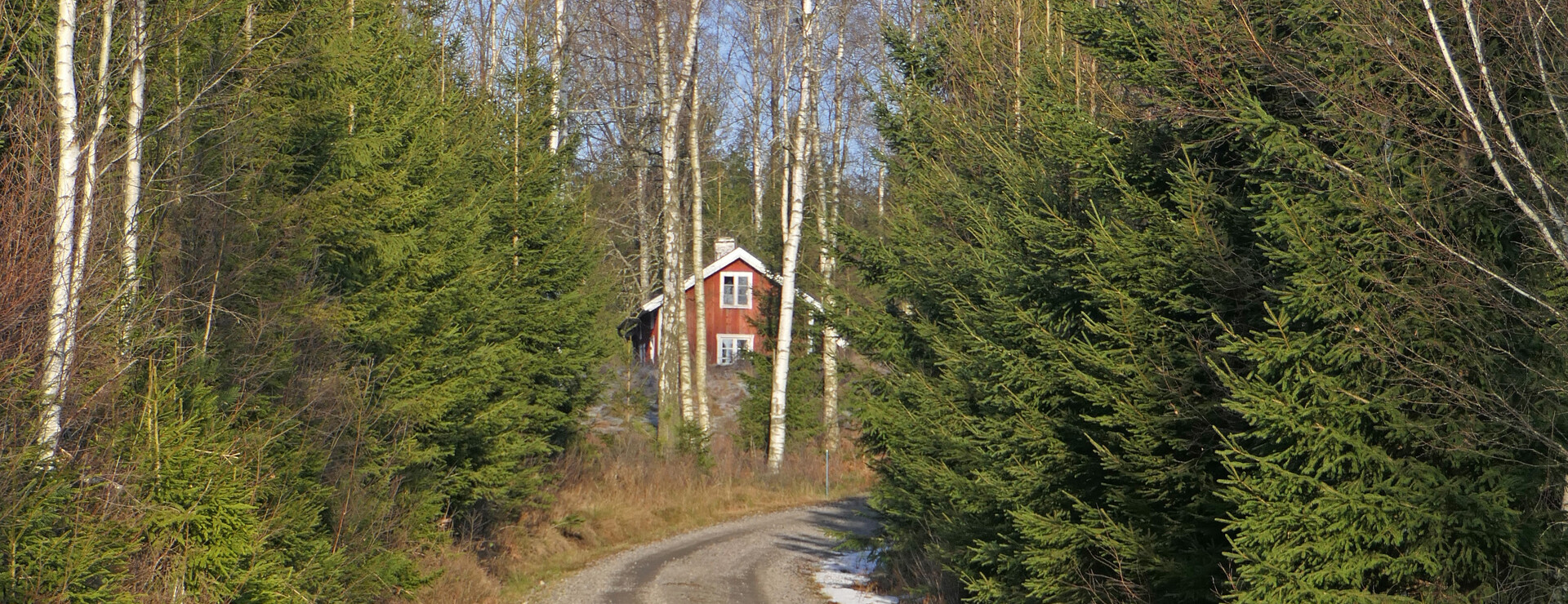 Torsberg Svebons - Skog, torp och tillväxt