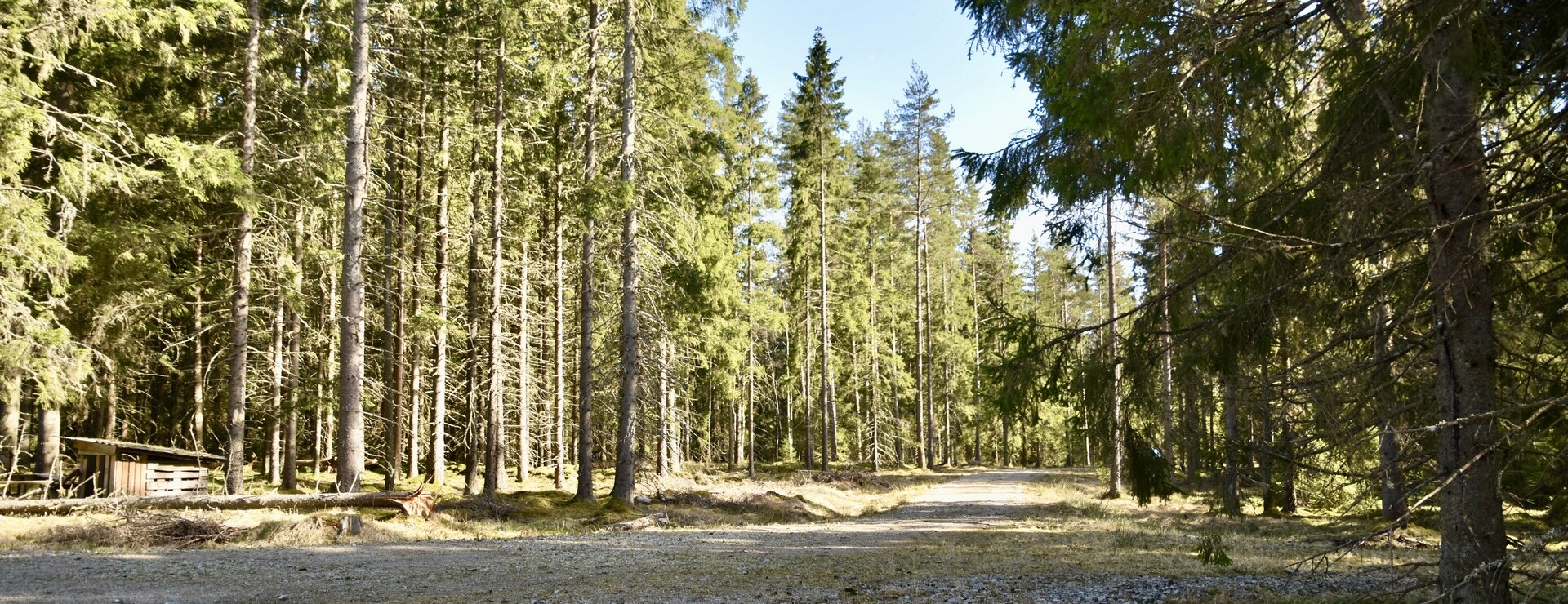 Gräsryd - Bolagsägd skogsfastighet