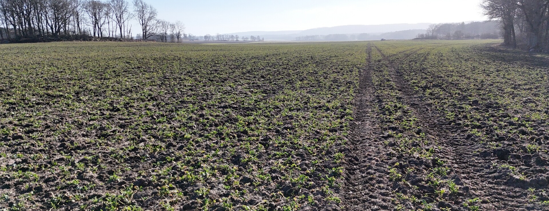 Ryedal - Ryedals Säteri del av.