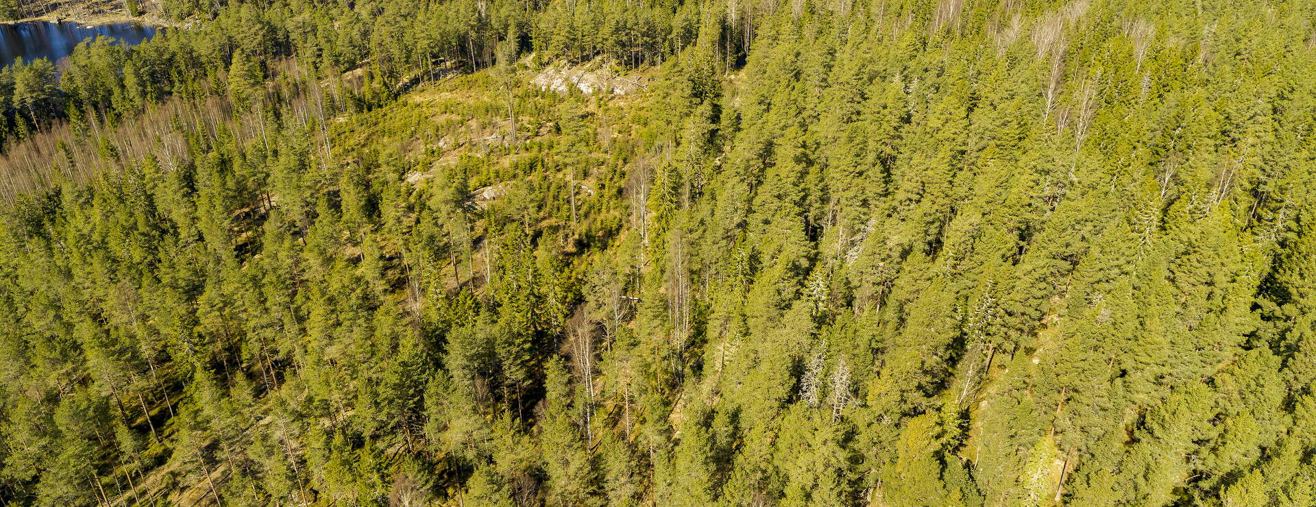 Norra Kärra - Tätortsnära skog och mark