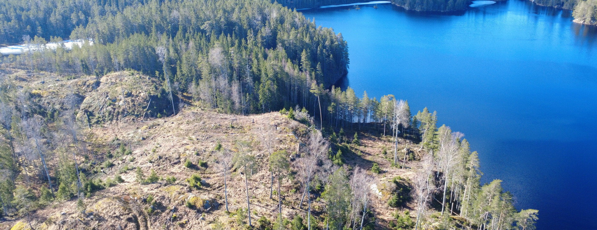 Håltebyn - Skogsmark i Årjäng