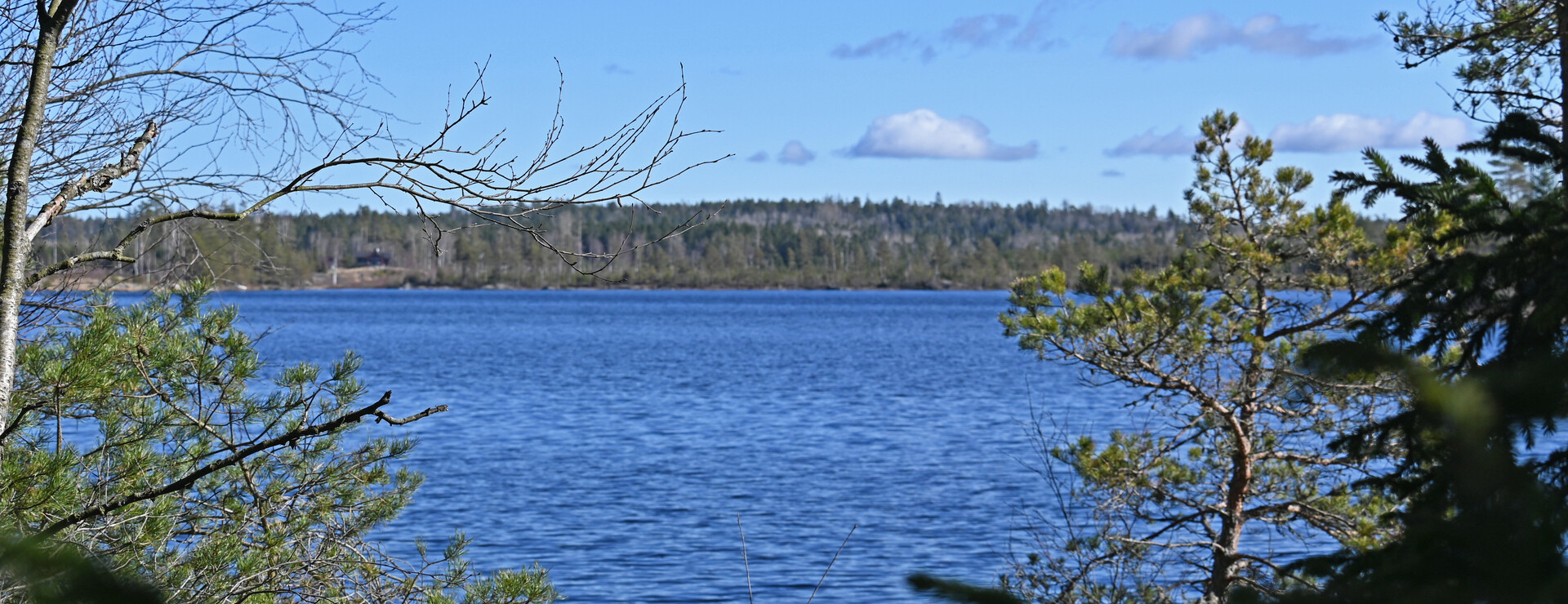 Gerum Skog - Utanför Tanumshede