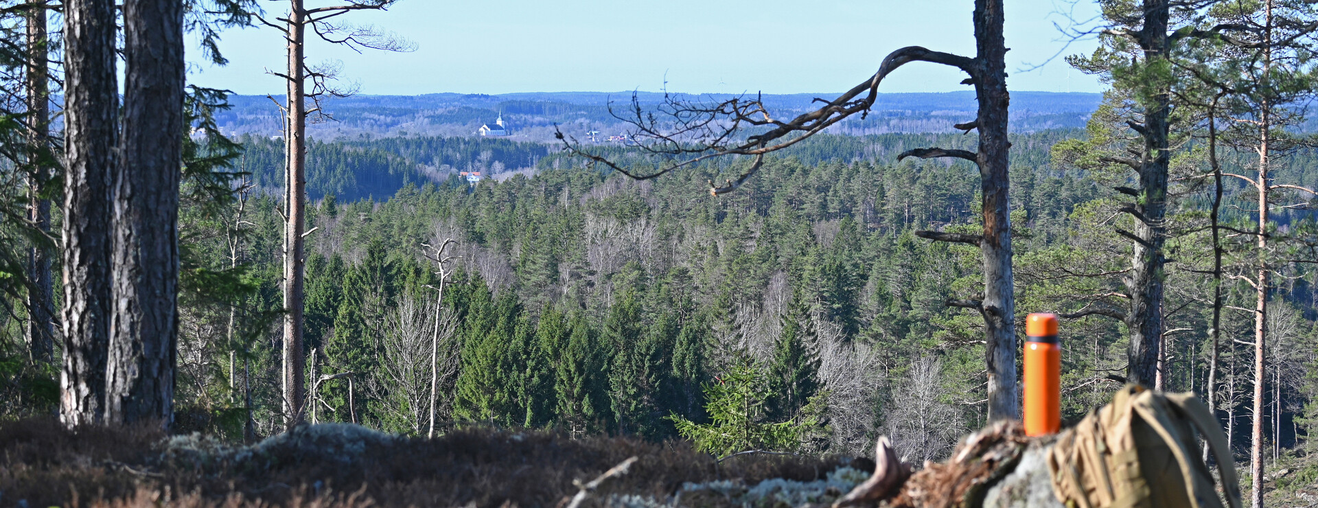 Hällan - Rejäl skogsfastighet