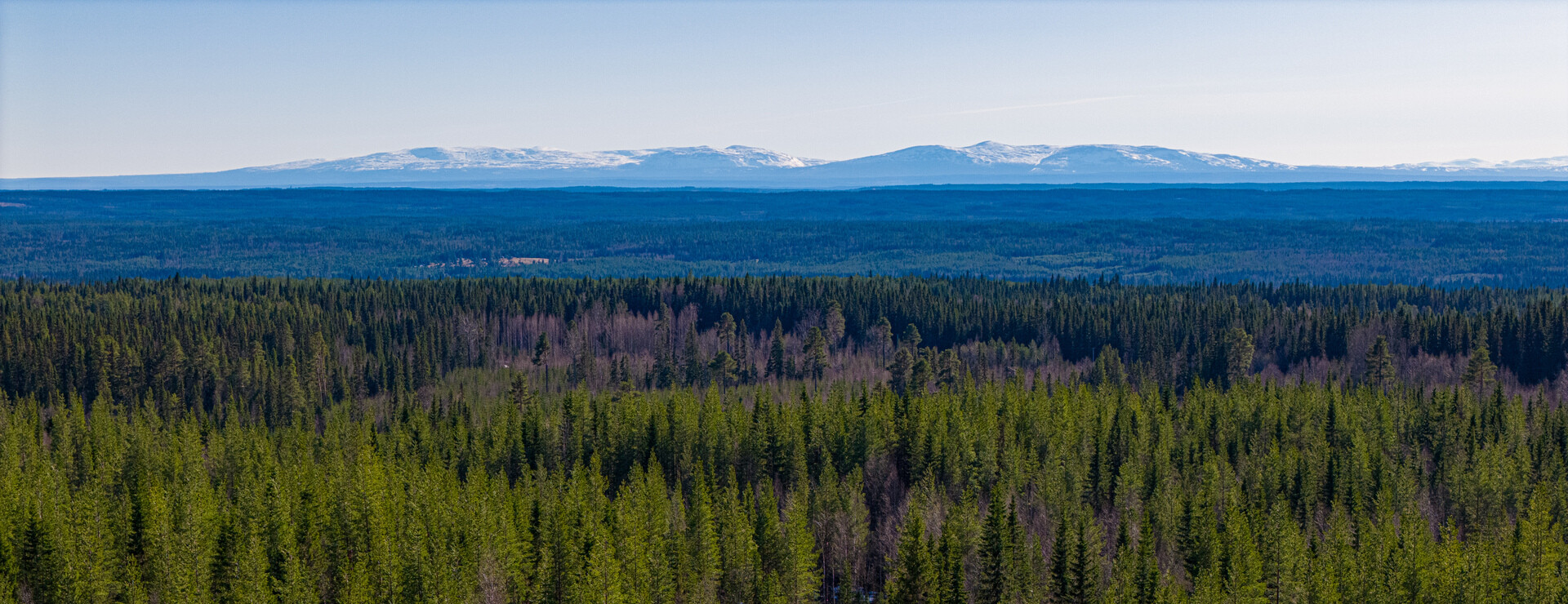 Lundsjön - I ett skifte vid Lundsjön