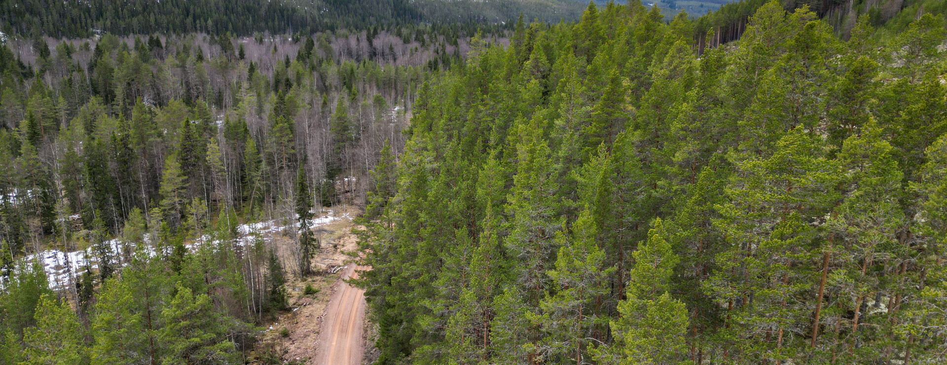 Rymdalen - Vildmark på tillväxt