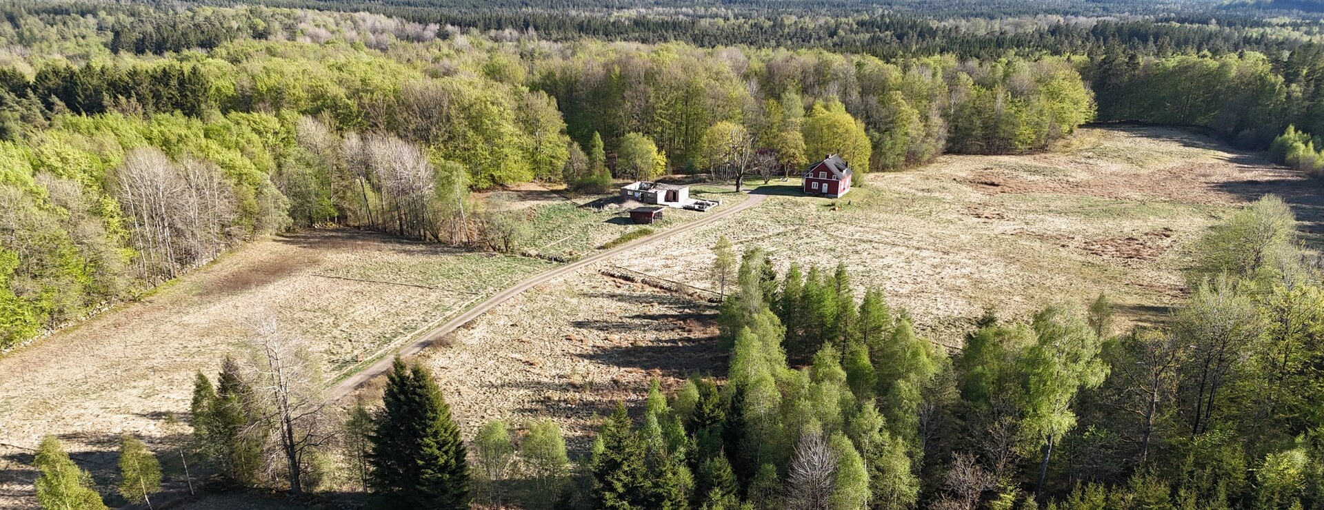 Språxhult - Skogsgård Markaryd