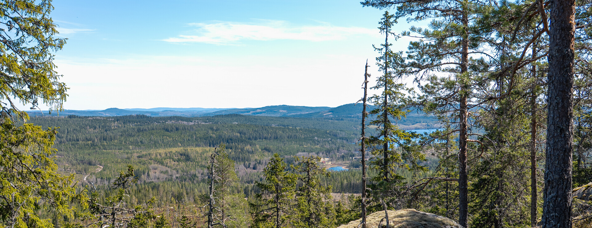Långbansände - Tillväxtfastighet