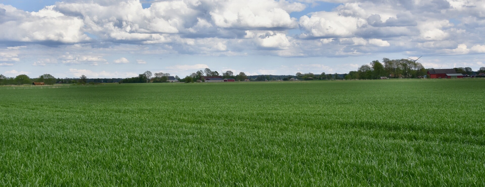 Åkermark i Synnerby - Bördig jord