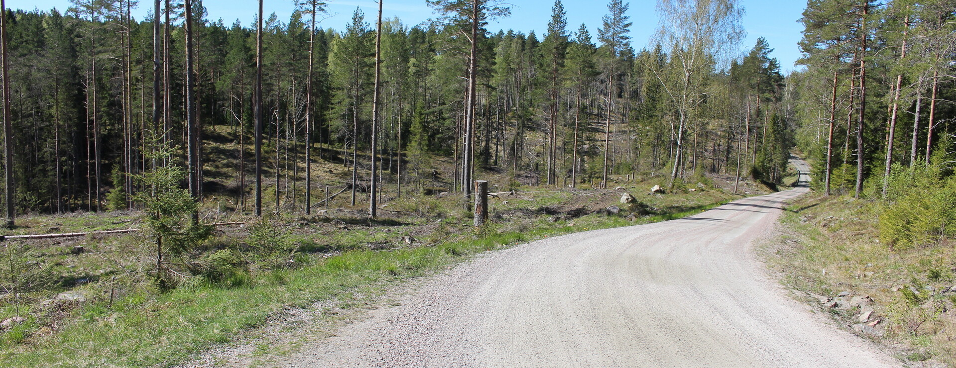 Mossviken - Skog i Vårvik