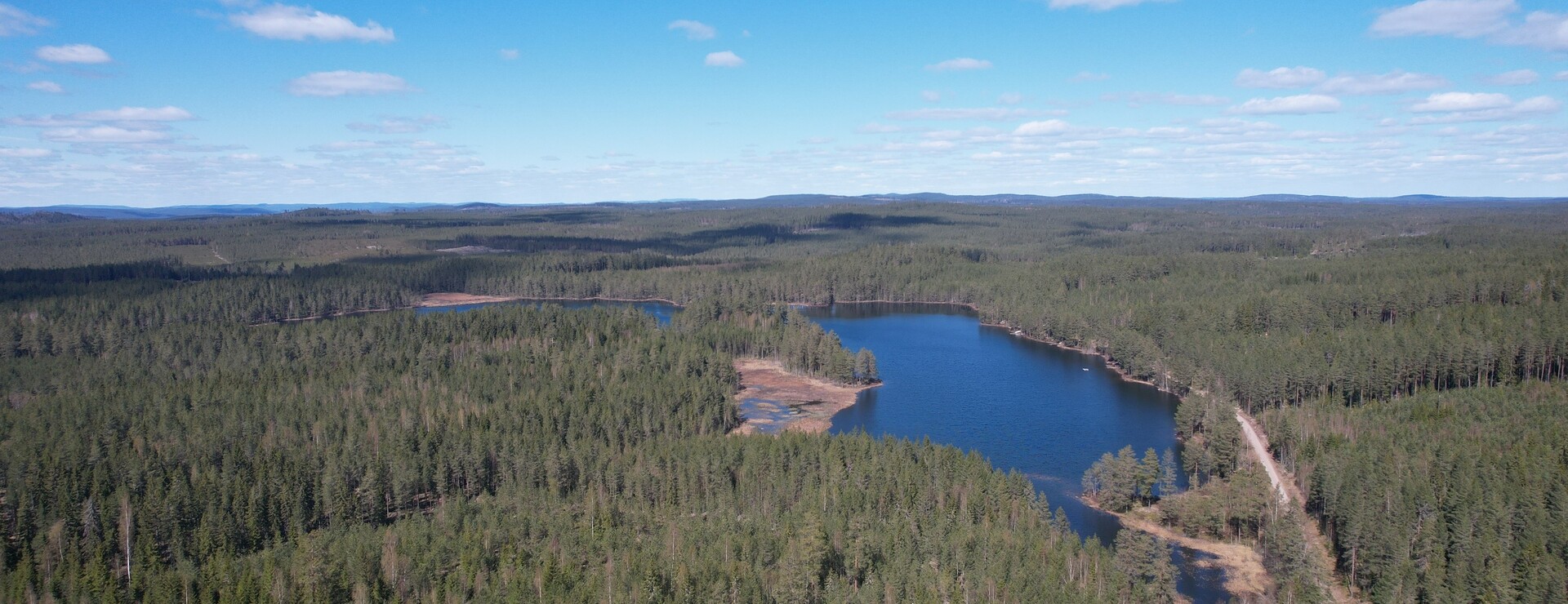Stora Skedvi - Skogsmark i Stora Skedvi