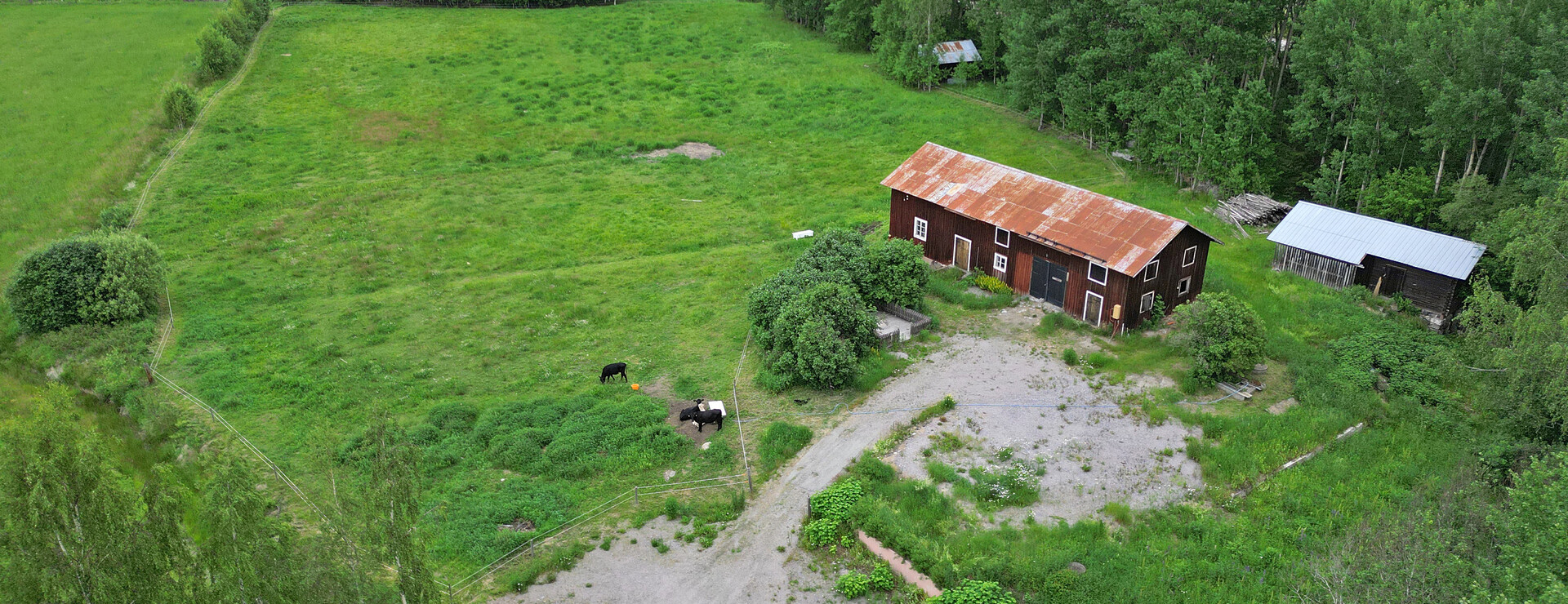 Kolsta - Skog med gårdstomt