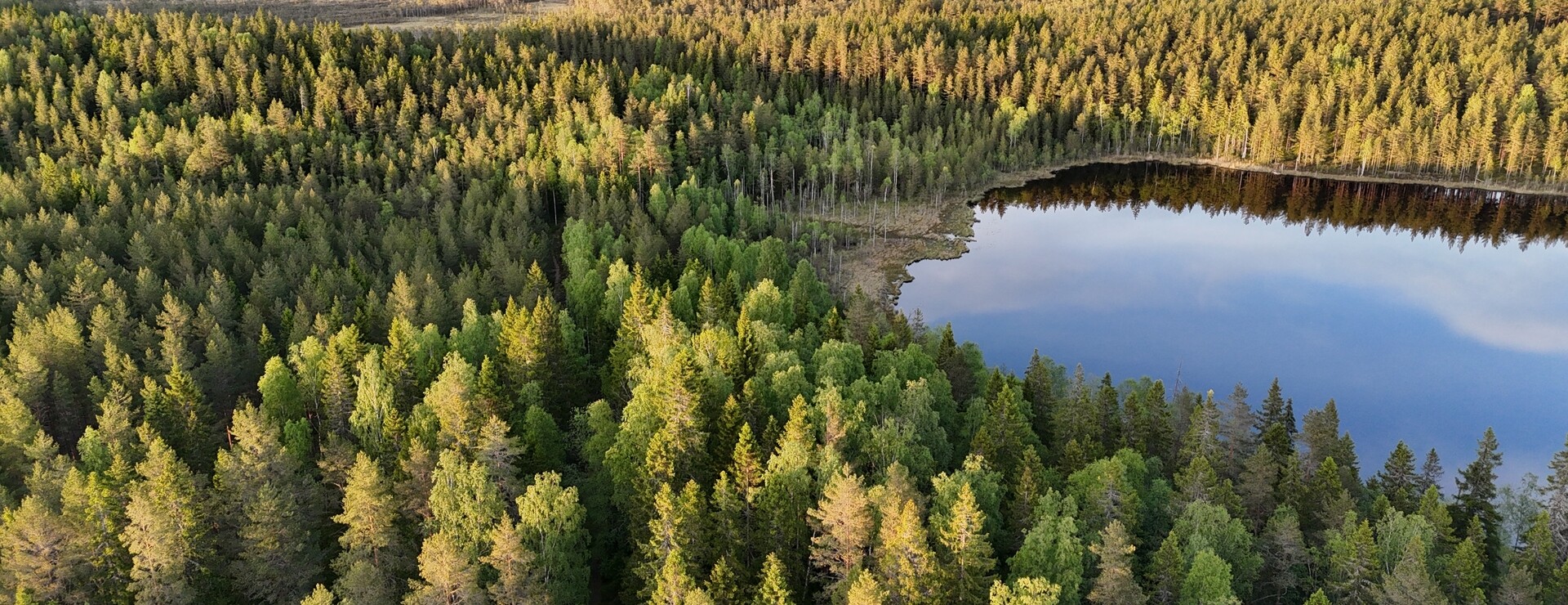 Gåsnäsboda - Virkesrikt och naturskönt