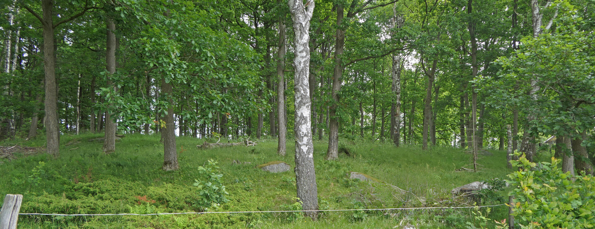 Idalahult - Omväxlande skog- och bete