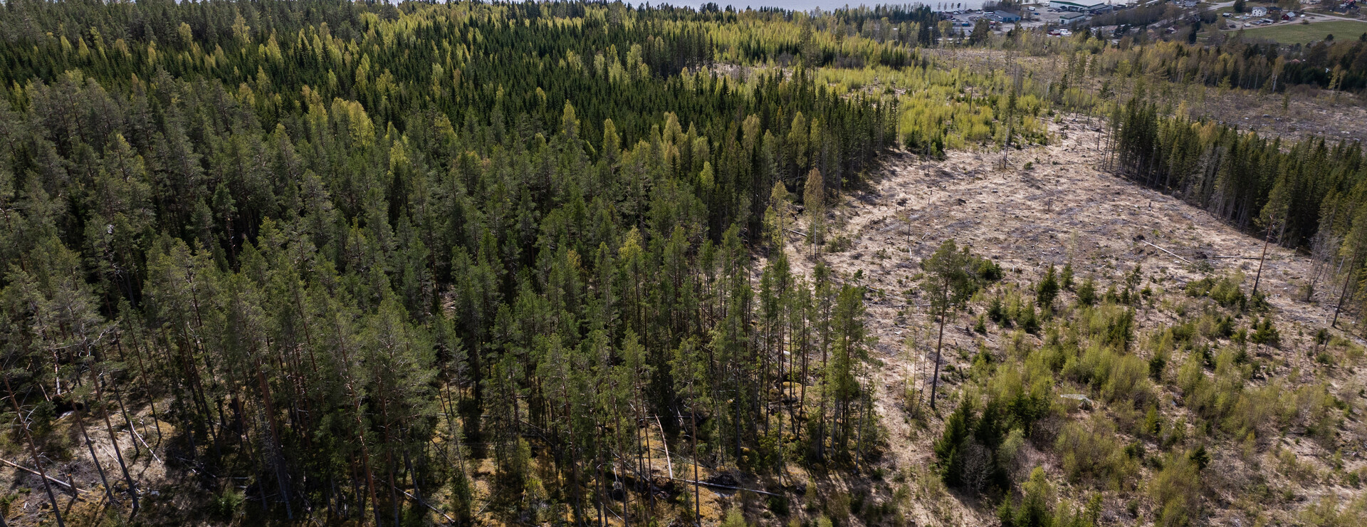 Kärvsta - Skog i ett skifte med god tillväxt