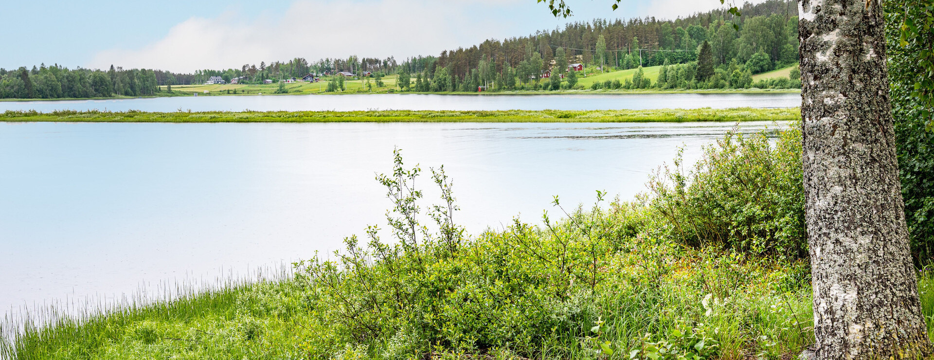 Norrgissjö - Skog och åker