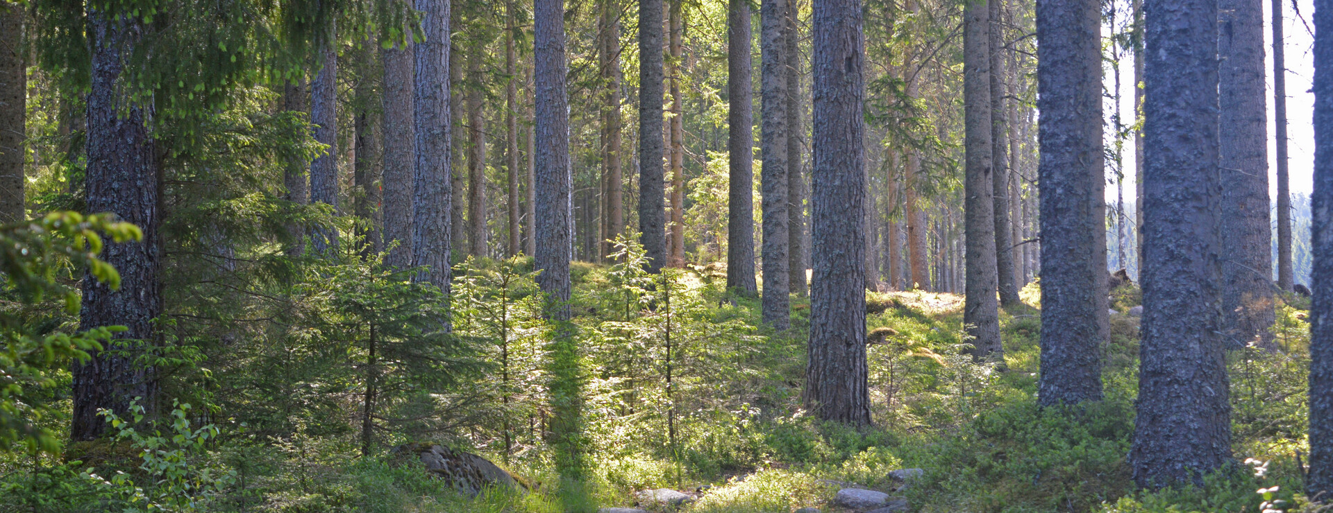 Laxarby-Backa - Vackert och lättillgängligt