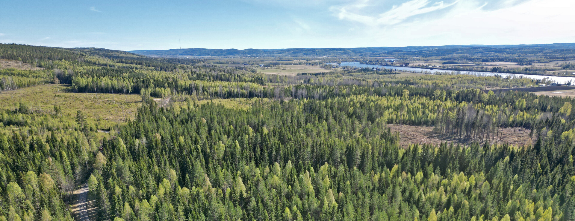 Svettåker - Virkesrik skogsfastighet