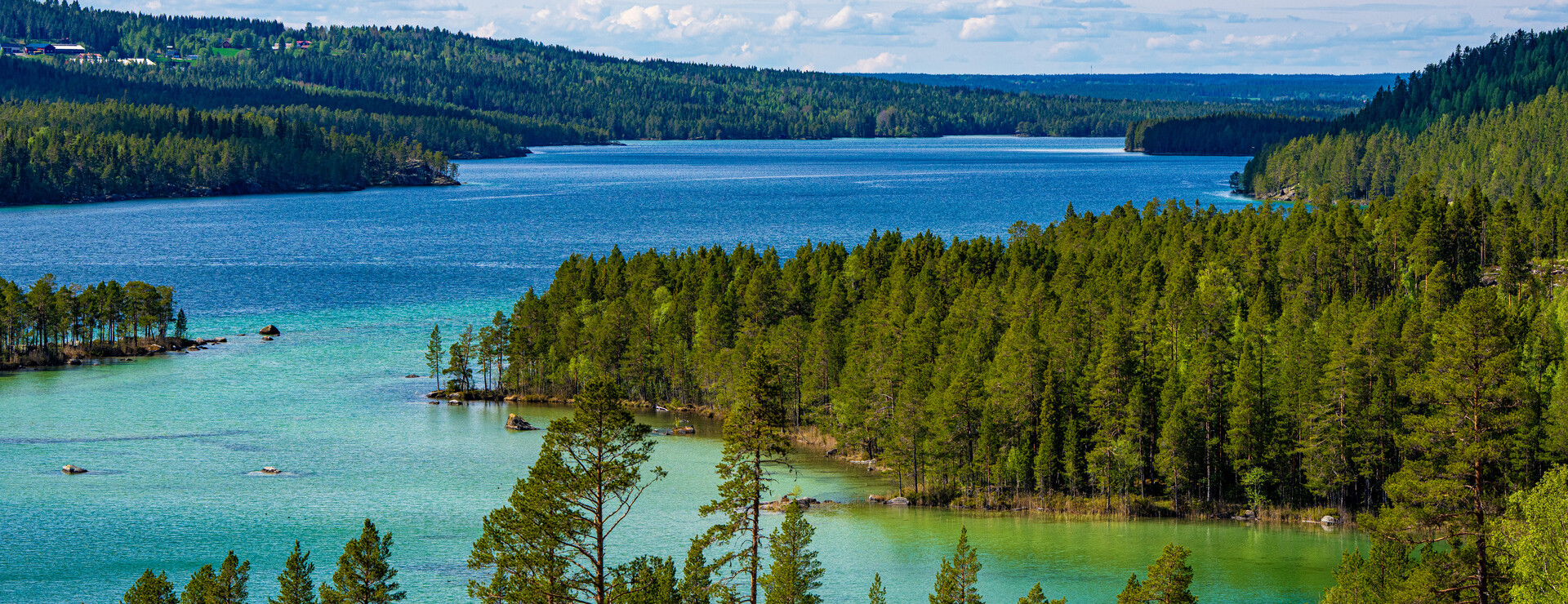 Börön skog - Bördigt skifte