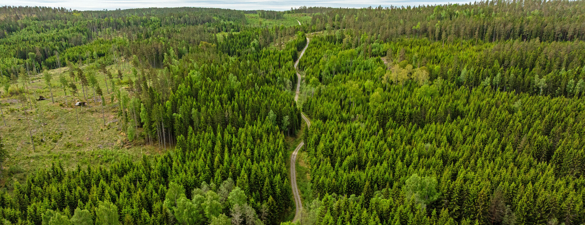 Stenstan - Bördigt och virkesrikt i Brunskog