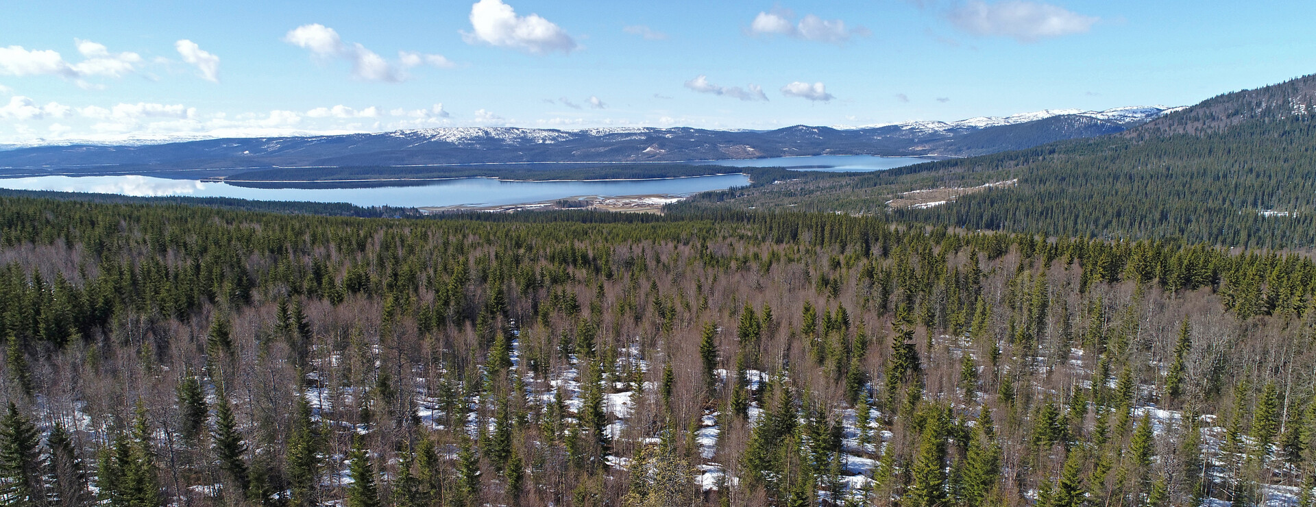 Vallån - Skog, jakt och fjällstuga