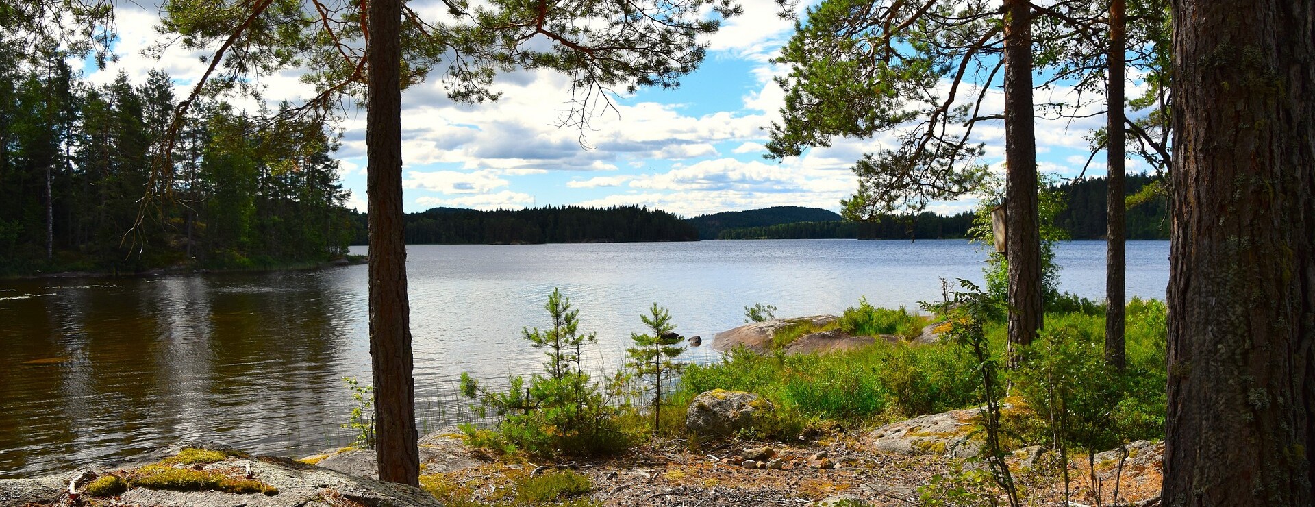 Tömte - Skog och jakt i Köla