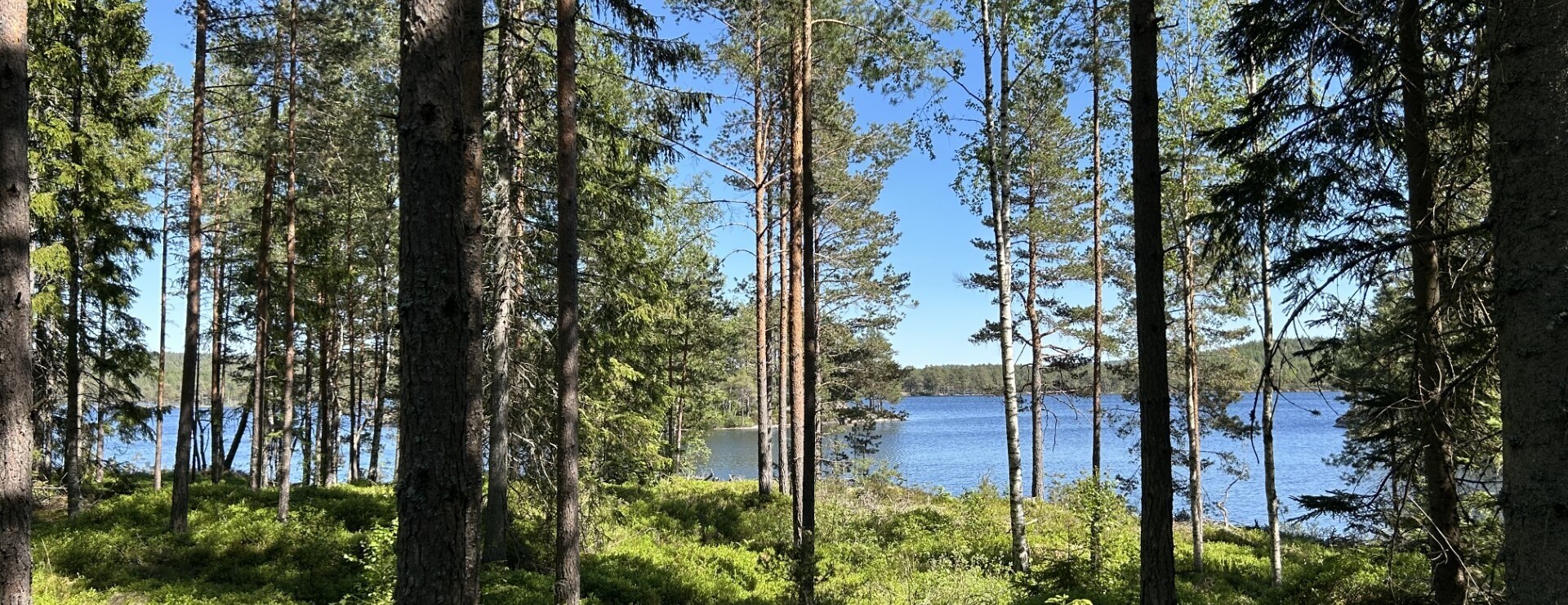 Solsjöbodane - Skogsgård i Laxarby