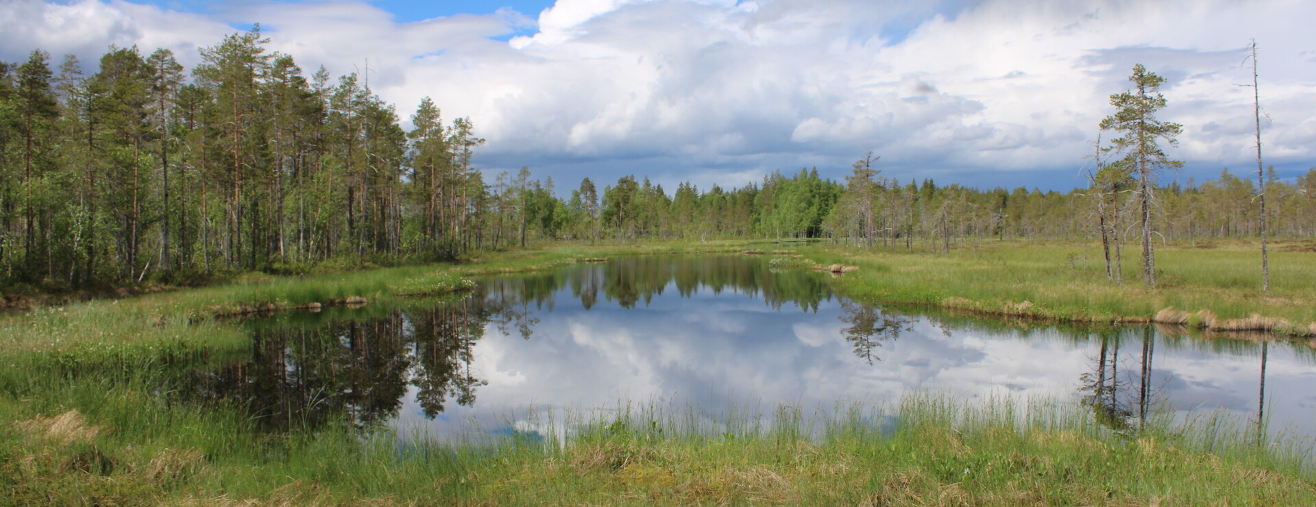 Skellefteå-Grannäs - Skog och jakt