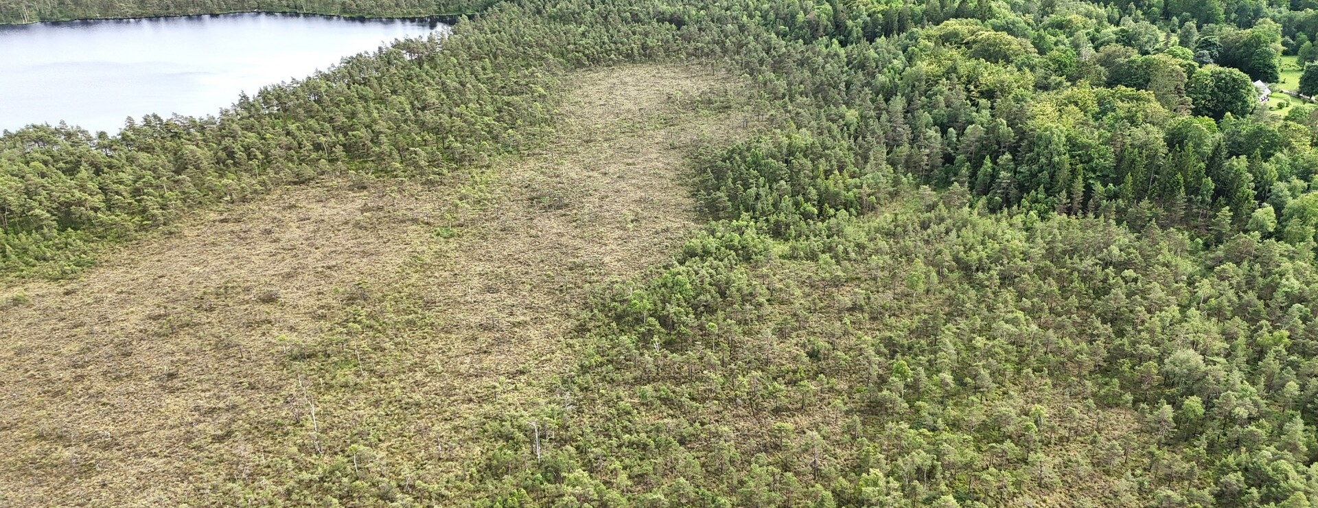 Tiböke - Skog och jakt