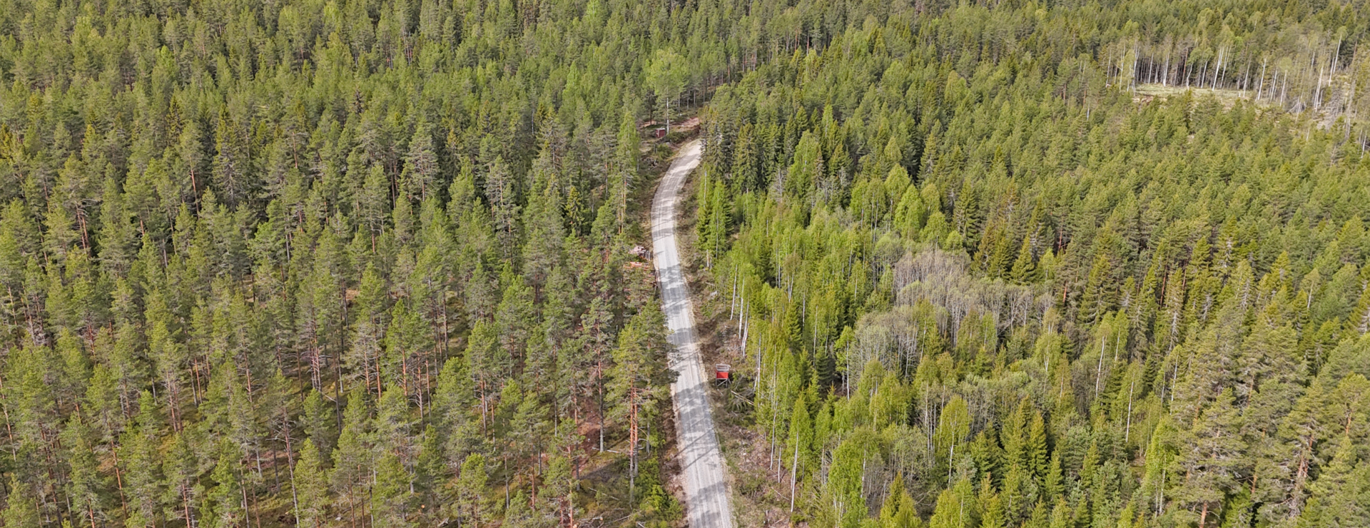 Piparvallen - Välarronderad skogsegendom