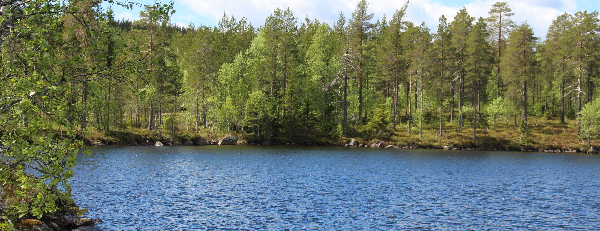 Lillbergsgården - Skog och villa i Sysslebäck