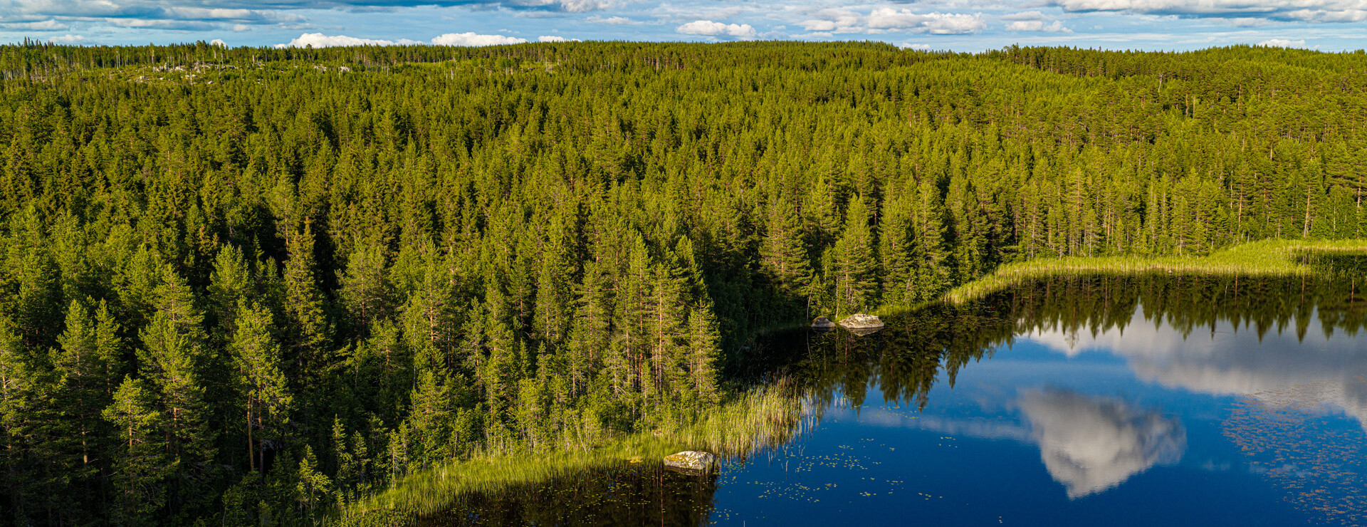 Risselås - Skog och jakt nära Strömsund