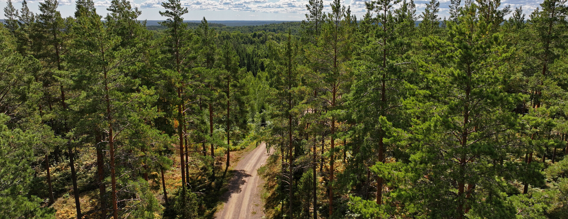 Faggemåla - Gård med växtlig skog