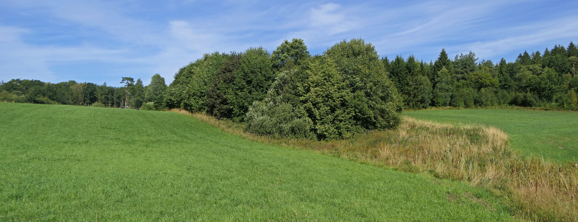 Frillesås - Jord och skog