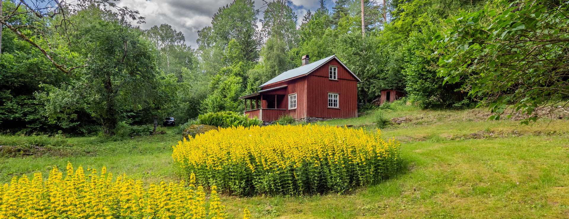 Jonstorp i Dalskog - Egen Paradishalvö