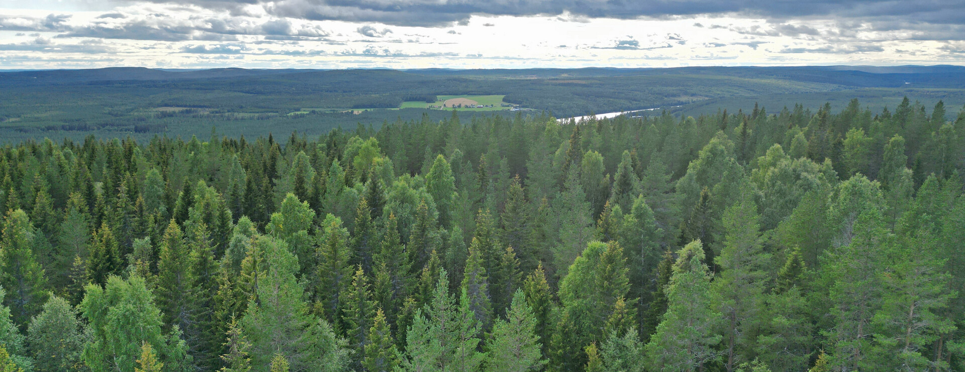 Överrödå - Bördig skogsfastighet