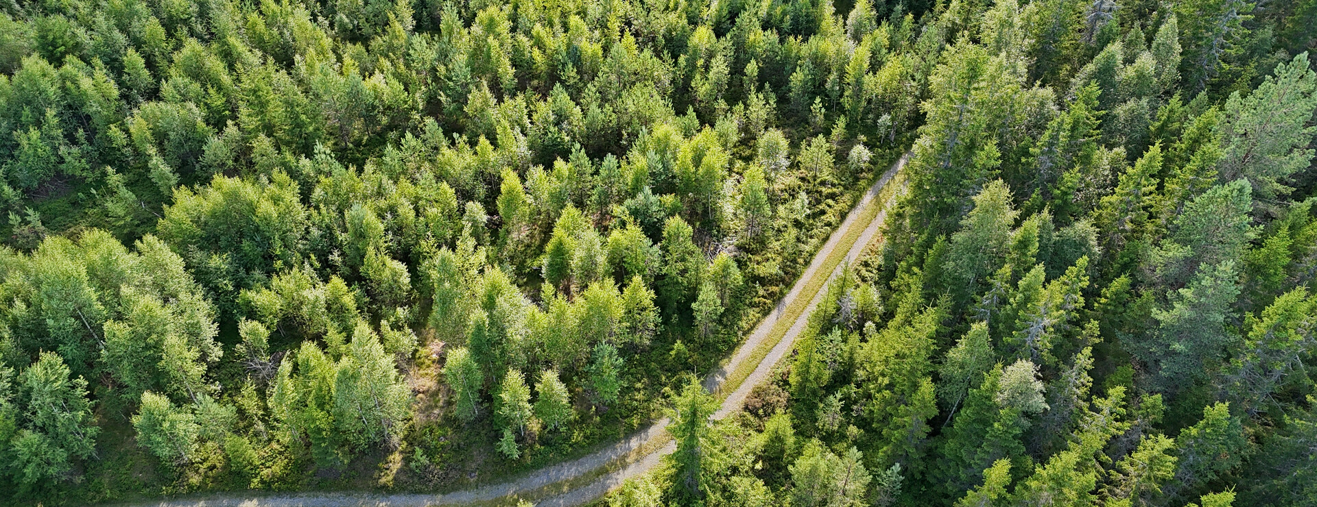 Heden - Investeringsmöjlighet