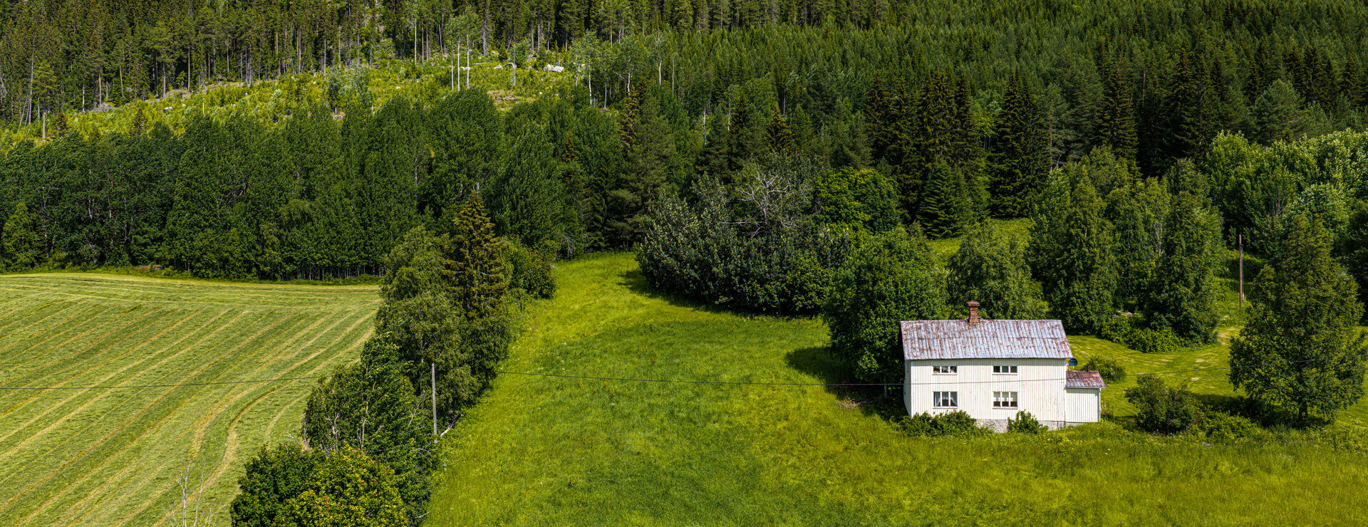 Flatmon - Skogsgård i Offerdal
