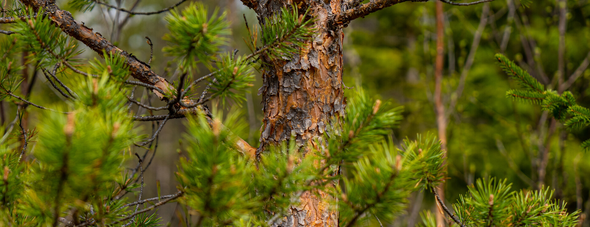 Söderhögen - Tillväxtfastighet i Söderhögen