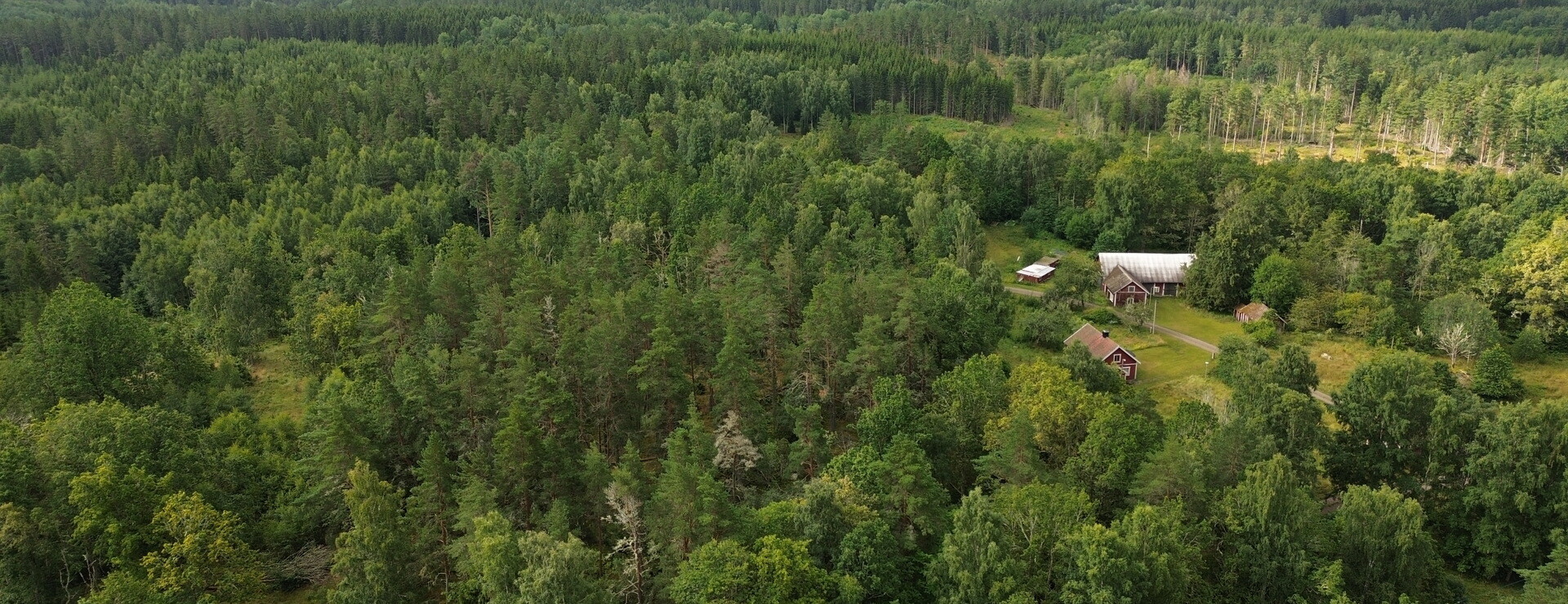 Stora Smedstorp - Välarronderad skogsfastighet