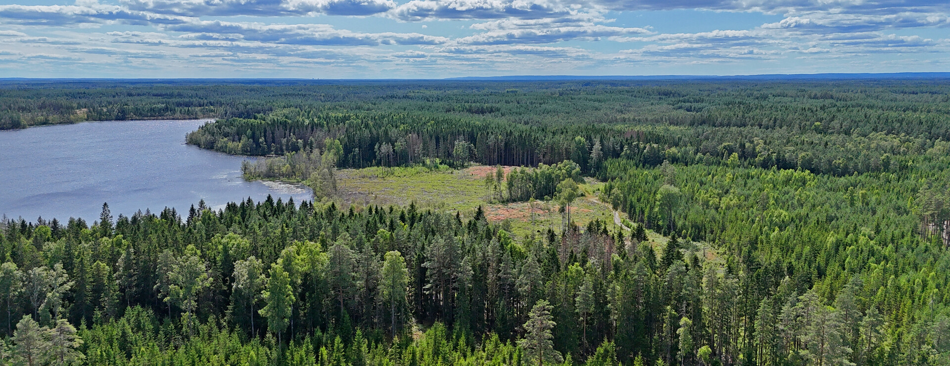 Näverkärret - Bland sjöar, gran och fur