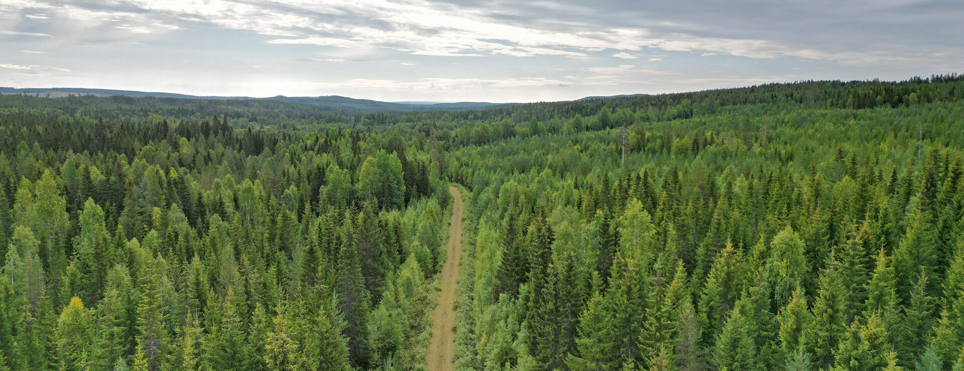 Västansjö - Skogsfastighet med bra virkesförråd