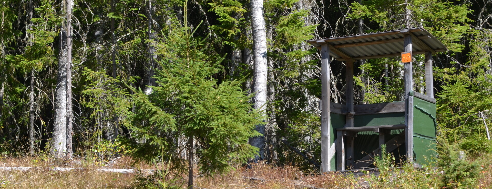 Nyby skog - Skogsmark i Södra Tuna