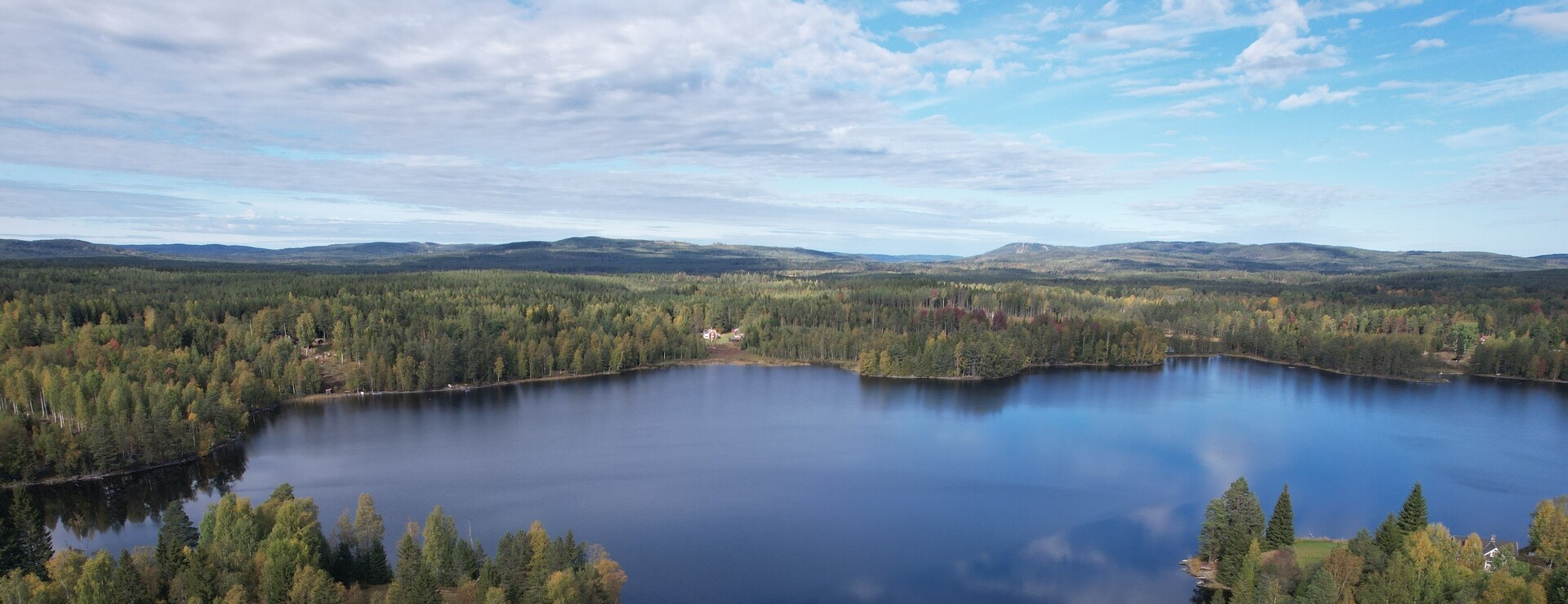 Norbohyttan - Skogsmark i Norbo