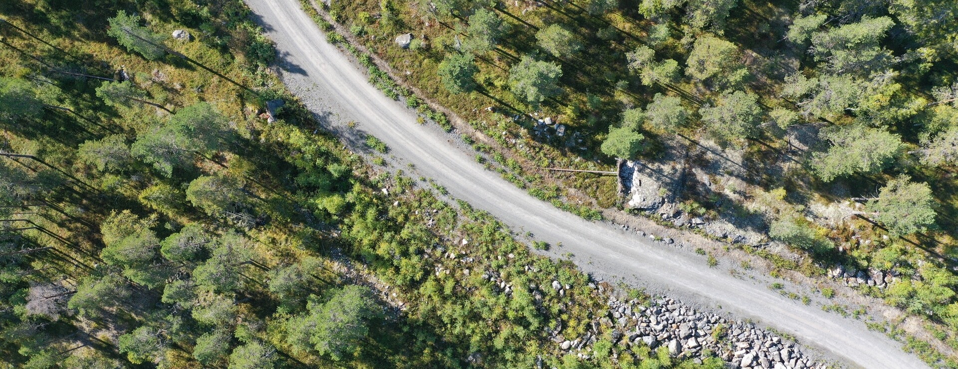 Sikeå - Skogstillgångar och vindkraft