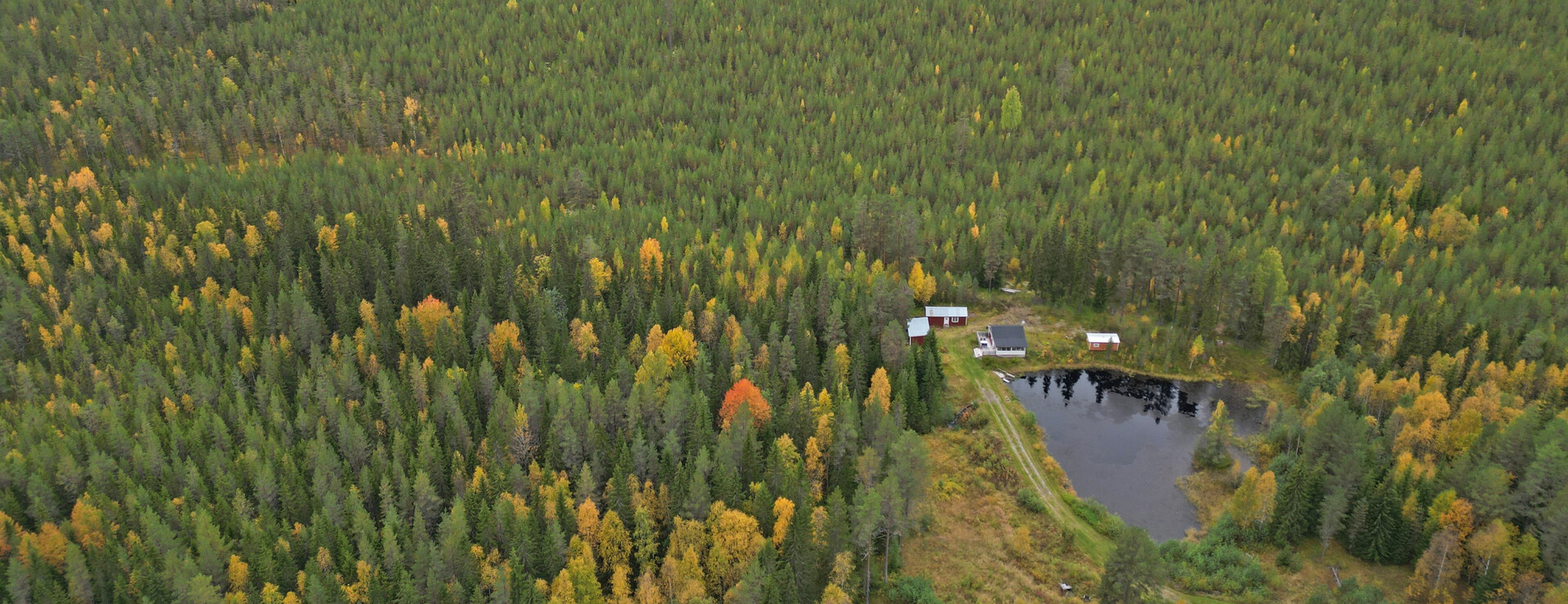 Västra Strömåker - Skogsfastighet med stuga