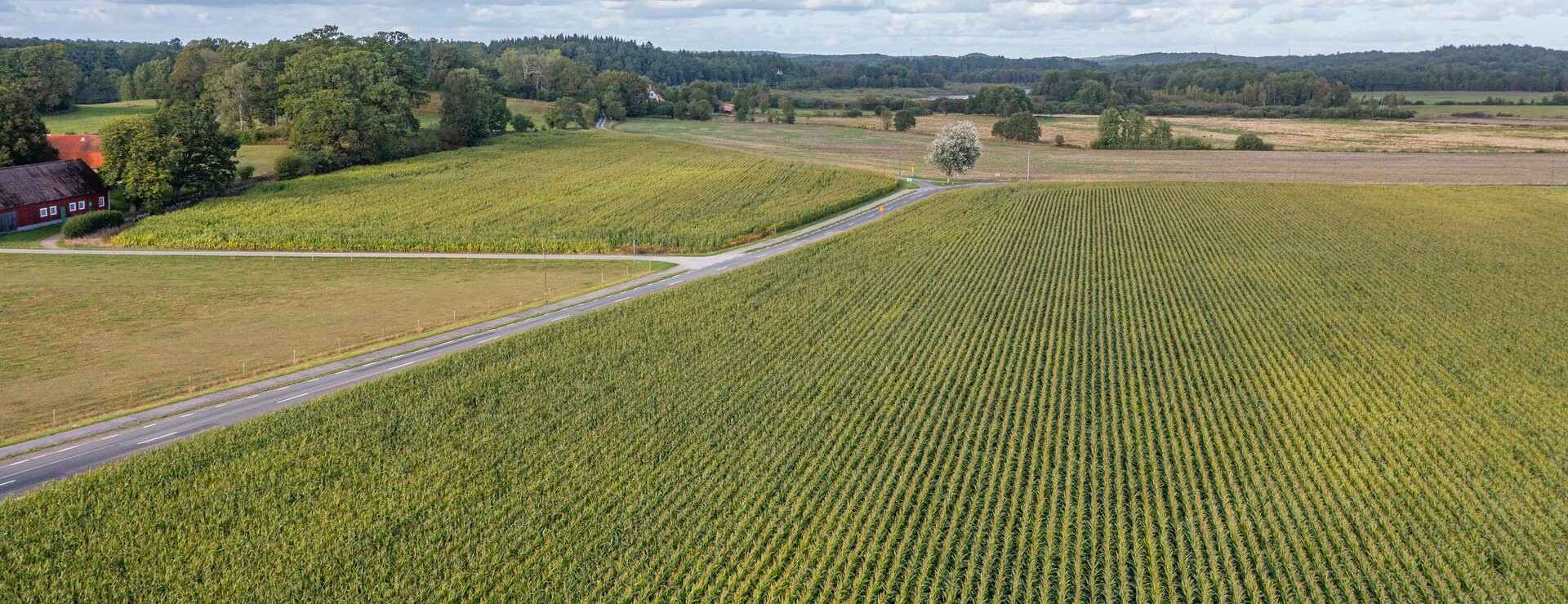 Ballingslöv - Åkermark